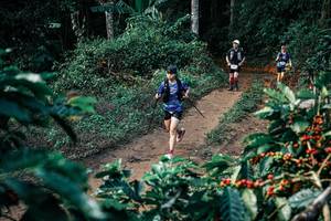 BIB: 
                            <button type="button" onclick="openModal(25832986)" class="btn btn-primary btn-sm float-right btn-popup" data-toggle="modal" data-target=".modal-high-quality">
                        <i class="fas fa-shopping-cart"></i> Add to Cart
                    </button>
                                            <button type="button" onclick="isThisMe(25832986, true)" class="btn btn-success btn-sm float-right btn-popup btn-isme hidden" data-toggle="tooltip" data-placement="bottom" title="นี่คือรูปของคุณใช่ไหม คลิกที่นี่เพื่อเอาเข้าอัลบั้ม">
                        <i class="fas fa-plus"></i> Add to album
                    </button>
                    <button type="button" onclick="isThisMe(25832986, false)" class="btn btn-warning btn-sm float-right btn-popup btn-isnotme hidden">
                        <i class="fas fa-ban"></i> Remove from album
                    </button>